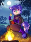 anthro book bottomwear campfire camping cape clothed clothing cloud elemental_manipulation fire fire_manipulation flaming_orb floppy_ears footwear forest fur gloves grass grass_field green_nose hair handwear light magic magic_user male moon moonlight night pants plant purple_body purple_fur red_eyes river rock sky solo tail tree chibiffa ailurid canid canine canis domestic_dog hybrid mammal red_panda digital_drawing_(artwork) digital_media_(artwork) hi_res