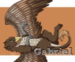 beak feathered_wings feathers feral green_eyes lying male on_back quadruped solo tail tail_tuft tuft wings jenery mythology gabrielgryphon_(character) avian bird gryphon mythological_avian mythological_creature 2017 6:5 digital_media_(artwork)