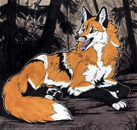 ambiguous_feral ambiguous_gender black_markings black_nose black_pawpads cheek_tuft facial_tuft fangs feral fur glistening glistening_eyes glistening_nose inner_ear_fluff lying markings neck_tuft on_front open_mouth orange_body orange_fur outside pawpads plant quadruped side_view solo teeth text tree tuft whiskers white_body white_fur white_inner_ear_fluff yellow_eyes heatherwolf canid canine fox mammal detailed hi_res url