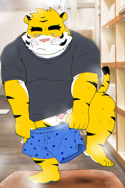 5_fingers 5_toes anthro balls blush boxers_(clothing) clothing feet fingers flaccid genitals humanoid_genitalia humanoid_penis kemono larger_but_small male micropenis musk penis shirt slightly_chubby small_penis solo t-shirt toes topwear underwear white_body yellow_body shibatanukiti felid mammal pantherine tiger 2026 hi_res