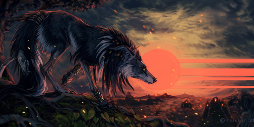 ambiguous_gender black_body black_fur day detailed_background feral fur outside paws sky solo sun nukerooster canid canine mammal 2015
