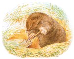 ambiguous_gender brown_body brown_fur digging fur holding_object holding_tool leaf nude outside pink_nose plant semi-anthro shovel solo tools beatrix_potter public_domain eulipotyphlan mammal mole_(animal) 1917 20th_century ancient_art traditional_media_(artwork)