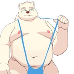 anthro belly clothing eyebrows eyewear fur glasses male mankini moobs navel nipples one-piece_swimsuit overweight solo swimwear thick_eyebrows white_body white_fur sahuel_s lifewonders tokyo_afterschool_summoners leib_(tas) bear mammal polar_bear ursine 1:1 hi_res