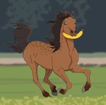 ambiguous_gender banana blue_eyes brown_body brown_hair brown_mane brown_tail feathering feral food fruit fur galloping hair hooves looking_back mane plant raised_tail simple_background solo tail sea-biscuit dolero equid equine horse mammal 2022 digital_media_(artwork) hi_res