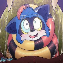 anthro black_body black_scales blue_body blue_fur blush bodily_fluids coiled_up coiling duo fangs feral fur hypnosis imminent_vore male mind_control open_mouth open_smile orange_body orange_scales ringed_eyes saliva scales smile teeth vore_pov yellow_body yellow_scales fluffyxai xai_the_raccoon mammal procyonid raccoon reptile scalie snake 1:1 absurd_res hi_res