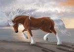 ambiguous_gender beach blue_eyes cloud feral sand sea seaside sky skyscape solo sunrise trotting water alexandradane maxym_(bloopertrooper) dolehest equid equine horse mammal hi_res male_(lore)