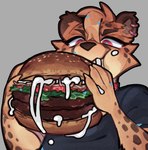 anthro biped burger clothed clothing ear_piercing eating eating_food food food_on_face grey_background hair holding_burger holding_food holding_object male mayonnaise orange_hair piercing red_eyes simple_background solo white_sclera loppifi wren_(loppifi) cheetah felid feline mammal absurd_res hi_res