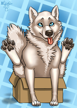 ambiguous_gender black_nose black_pawpads blue_background blue_eyes box cardboard cardboard_box cheek_tuft claws container digitigrade facial_tuft feet feral fluffy fluffy_tail fur geometric_background in_box in_container legs_up neck_tuft pattern_background pawpads silly simple_background sitting snout solo tail tongue tongue_out tuft white_body white_claws white_fur mushbun wolfeman canid canine canis mammal wolf 2021 absurd_res full-length_portrait hi_res portrait male_(lore)