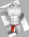 abs anthro asian_clothing biceps big_muscles blue_eyes bottomwear bulge clothing east_asian_clothing fundoshi japanese_clothing kemono male muscular muscular_anthro muscular_male pecs scar solo underwear iceman1984 sega shining_(sega) shining_force shining_wind rouen_(shining) canid canine canis mammal wolf