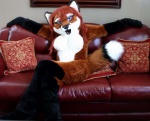 anthro biped blue_eyes clothing costume female furniture fursuit looking_at_viewer nude open_mouth pillow real sitting sofa solo rabbitinthemoon autumn_vixen canid canine fox mammal grandfathered_content photography_(artwork)