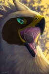 beak bodily_fluids brown_body facial_markings feathered_crest feathers female feral green_eyes head_crest head_markings markings mask_(marking) mouth_shot open_mouth saliva solo tongue nemane mythology serilde avian gryphon mythological_avian mythological_creature 2:3 absurd_res hi_res