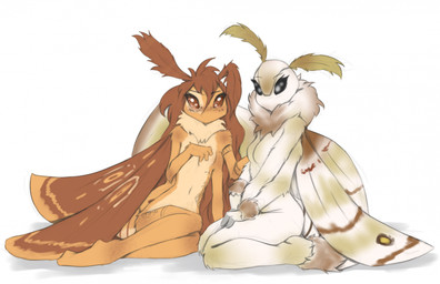 4_arms abdominal_tattoo alternate_species anthro arm_tattoo biped breasts brown_eyes brown_hair brown_wings countershade_torso countershading duo featureless_breasts female fingers fur hair leg_tattoo multi_arm multi_limb navel neck_tuft non-mammal_breasts nude nude_anthro nude_female simple_background sitting small_breasts tan_body tan_fur tattoo thigh_tattoo tuft white_background wings tinygaypirate apogee_(tinygaypirate) suu_(soren_howlson) arthropod insect lepidopteran moth 2025 digital_media_(artwork) hi_res