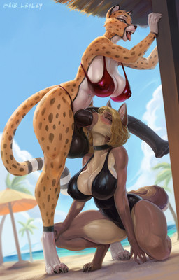 2_penises abdominal_bulge abdominal_bulge_deepthroat amber_eyes animal_genitalia animal_penis anthro anthro_on_anthro areola balls beach big_balls big_breasts big_penis bikini black_clothing black_penis black_swimwear blonde_hair blush bodily_fluids breasts choker clothed clothing deep_penetration deep_throat diphallism dripping duo ejaculation equine_genitalia equine_penis erection eyes_closed fellatio female female_anthro fur genitals glistening glistening_balls glistening_clothing glistening_genitalia glistening_penis glistening_sheath glistening_swimwear gynomorph gynomorph/female gynomorph_anthro hair hands-free horizontal_diphallism huge_breasts huge_penis hyper hyper_genitalia hyper_penis inner_ear_fluff intersex intersex/female intersex_anthro jewelry kneeling long_penis looking_at_another markings medial_ring mismatched_animal_genitalia mismatched_animal_penis mismatched_genitalia mismatched_penis multi_genitalia multi_penis navel navel_piercing neck_bulge necklace nipples on_one_knee on_one_leg one-piece_swimsuit open_mouth oral oral_penetration penetration penile penile_penetration penis penis_in_stomach piercing red_clothing red_swimwear saliva sex sheath smile spots spotted_body spotted_fur spread_legs spreading standing submissive submissive_female swimwear tail thick_thighs tongue tuft two-piece_swimsuit vein veiny_penis aib_leyley kira_sharpovich canid canine cheetah felid feline mammal digital_media_(artwork) hi_res