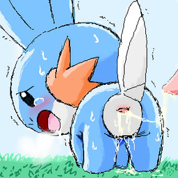 after_sex ambiguous_gender animal_genitalia blush bodily_fluids breath cloaca cum disembodied_penis drooling duo erection feral genital_fluids genitals grass leaking male male/ambiguous open_mouth penis plant saliva sweat tapering_penis tongue pasaran nintendo pokemon amphibian generation_3_pokemon mudkip pokemon_(species) 1:1 aliasing digital_media_(artwork) low_res oekaki