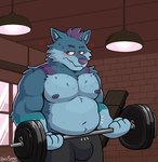 anthro barbell belly belly_overhang blue_body blue_fur blush brick_wall bulge clothed clothing embarrassed exercise fit_to_fat fur gym hair lights male musclegut muscular muscular_anthro muscular_male navel nipples overweight overweight_anthro overweight_male purple_hair solo wall_(structure) weight_gain weightlifting weights window workout rodraccoon yukon canid canine canis mammal wolf hi_res