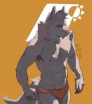 clothing male pool practice speedo swimwear warm canid canine canis mammal wolf hi_res