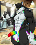 anthro balls black_body black_fur exercise fluffy fluffy_tail fur genitals male multicolored_body muscular muscular_male penis rainbow solo tail weightlifting weights white_body white_fur workout oreonart morchogames_(copyright) furry_morcho canid canine canis mammal wolf absurd_res animated hi_res no_sound short_playtime webm