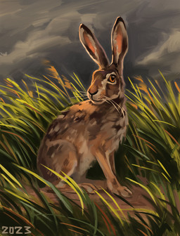 big_ears black_nose brown_body brown_fur feral fur grass_field grey_cloud grey_sky orange_eyes quadruped realistic short_fur sitting sky solo tan_body tan_fur whisker_spots whiskers white_whiskers alexpahomov hare lagomorph leporid mammal 2023 digital_media_(artwork) digital_painting_(artwork) hi_res painting_(artwork)