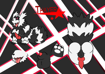 animal_genitalia animal_penis anus balls big_butt butt butt_heart canine_genitalia canine_penis erection feral genitals knot knotted_penis looking_at_viewer male open_mouth pawpads penis presenting presenting_hindquarters raised_tail rear_view red_penis sheath simple_background solo tail tongue tongue_out white_pawpads cuchuflehest nintendo pokemon thayer galarian_form galarian_zigzagoon generation_8_pokemon pokemon_(species) regional_form_(pokemon) 2019 hi_res source_request unavailable_at_source
