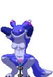 2016 alpha_channel alternate_color anal anal_penetration animated anthro bandai_namco barefoot biped blue_body blue_fur blue_tail blush bodily_fluids body_blush brace breasts buttplug canid canine claws clothed clothing digimon digimon_(species) digital_media_(artwork) dipstick_tail exercise fan_character feet female fur genitals gloves haley_(nightfaux) handwear kegel_exercise kegel_weight low_res mammal markings mostly_nude multicolored_body multicolored_fur multicolored_tail muscular muscular_anthro muscular_female nightfaux nipples paws penetration pixel_(artwork) pixel_animation plantigrade plug_(sex_toy) pussy pussy_blush renamon sex_toy sexercise short_playtime simple_background small_breasts solo squats standing sweat tail tail_markings thumbnail toe_claws toes transparent_background tsunamidusher tuft two_tone_body two_tone_fur two_tone_tail weights white_body white_fur white_tail wide_hips