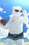 anthro balls_outline beach blush bulge clothing cloud coconut detailed_background detailed_bulge dog_tags drupe_(fruit) eyewear food fruit fur genital_outline jewelry male navel necklace nipples outside overweight overweight_anthro overweight_male penis_outline plant sand seaside sky solo standing sunglasses swimming_trunks swimwear water white_body white_fur young young_anthro satanbear bear mammal polar_bear ursine 2016 absurd_res hi_res