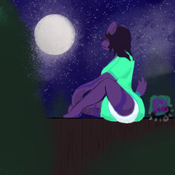 anthro clothed clothing diaper female light moonlight onesie plant sitting_on_fence solo star stargazing wearing_diaper punkypamps canid canine mammal 1:1