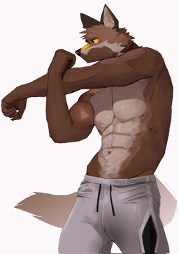 5_fingers anthro bottomwear clothed clothing exercise fingers fur gradient_background male muscular muscular_anthro muscular_male pants simple_background solo stretching topless topless_anthro topless_male white_background yoga_pants temchang canid canine canis coyote mammal 2022 hi_res