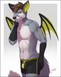 anthro black_clothing black_underwear boxer_briefs brown_hair bulge clothing fangs first_person_view fur grey_body grey_fur hair looking_at_viewer male membrane_(anatomy) membranous_wings pose solo teeth underwear wings yellow_eyes feralise millennius bat canid canine fox hybrid mammal 2015 pinup