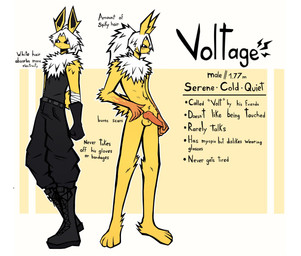 4_toes 5_fingers animal_genitalia animal_penis anthro arm_scar bandage bandaged_arm black_bottomwear black_clothing black_gloves black_handwear black_pants black_sclera black_shirt black_topwear bottomwear burn_scar canine_genitalia canine_penis clothed clothed_anthro clothed_male clothing feet fingers front_view fully_clothed fur genitals gloves hair handwear male male_anthro nude nude_male pants penis scar shirt solo toes topwear tuft white_body white_fur white_hair yellow_body skypat nintendo pokemon voltage_(skypat) eeveelution generation_1_pokemon jolteon pokemon_(species) hi_res model_sheet