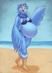 anthro avian_feet beach belly big_belly bikini breasts cleavage clothed clothing eyewear eyewear_on_head female goggles goggles_on_head hand_wings leg_tuft linea_nigra medium_breasts multicolored_body navel navel_line neck_tuft non-mammal_breasts outie_navel pregnant pregnant_anthro pregnant_female solo swimwear tuft two-piece_swimsuit two_tone_body randomgirl1265 undertale_yellow martlet_(undertale_yellow) avian humanoid monster hi_res