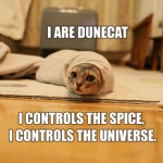 ambiguous_gender feral humor real solo text what unknown_artist dune_(series) lolcats domestic_cat felid feline felis mammal 1:1 english_text grandfathered_content low_res meme