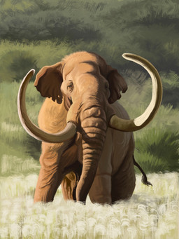 feral field grey_body grey_skin light male proboscis_(anatomy) quadruped solo sunlight trunk_(anatomy) tusks wrinkles agustindiazart columbian_mammoth 2024 3:4 hi_res