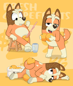 anthro bedroom_eyes beverage breast_squish breasts female food food_fetish grapefruit juice_(beverage) lying narrowed_eyes on_front on_model seductive squish suggestive suggestive_food tail tail_motion thigh_crush dm29 bluey_(series) chilli_heeler australian_cattle_dog canid canine canis cattledog domestic_dog herding_dog mammal pastoral_dog hi_res