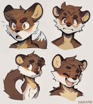 angry anthro brown_body circle_eyebrows eyebrows hair laugh male pupils sad small_pupils solo spiky_hair surprised_expression teeth white_body yellow_body oridore oridore_(character) gulonine mammal marten mustelid musteline pine_marten digital_drawing_(artwork) digital_media_(artwork) expression_sheet headshot_portrait hi_res multiple_images portrait signature