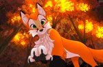 ambiguous_gender black_nose dipstick_ears ear_markings feral fluffy_chest forest fur gloves_(marking) green_eyes looking_at_viewer low-angle_view markings multicolored_ears orange_body orange_fur outside plant solo tail tree whiskers kidaoriginal cutefox canid canine fox mammal hi_res