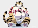 anthro belly bulge clothing kemono male overweight overweight_anthro overweight_male pubes simple_background sitting solo underwear uokkom felid mammal pantherine tiger 2021 hi_res