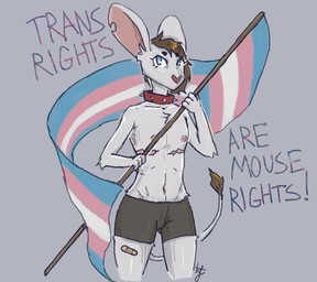 anthro blue_eyes brown_hair clothing collar fur hair heart_nose heart_symbol lgbt_pride long_ears looking_at_viewer male mastectomy_scar nipples pride_colors scar simple_background solo spiked_collar spikes text transgender_pride_colors underwear white_body white_fur ellathefoxy fan_character dipodid jerboa mammal mouse murid murine rodent english_text trans_(lore)