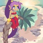 blue_eyes blush breasts clothing dark_body dark_skin detailed_background ear_piercing female hair humanoid_pointy_ears long_hair not_furry piercing pointy_ears ponytail purple_hair sitting smile solo water c_starlett shantae_(series) wayforward shantae genie humanoid 1:1 animated digital_media_(artwork) low_res pixel_(artwork) pixel_animation short_playtime