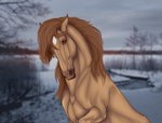 ambiguous_gender brown_eyes facial_markings feral hair head_markings looking_at_viewer markings photo_background plant raised_leg solo tan_body tan_hair tree sergetishbein pearl_(wasen) equid equine horse mammal digital_media_(artwork) photography_(artwork)