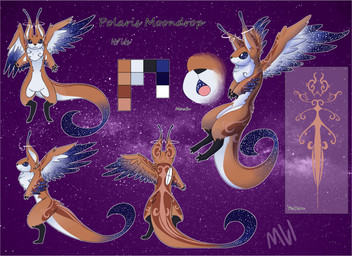 ambiguous_gender anthro biped black_body black_claws black_pawpads blue_body blue_feathers blue_tail blue_wings brown_body brown_feathers brown_fur brown_tail claws cosmic_background cosmic_feathers cosmic_tail cosmic_wings dark_body dark_feathers dark_fur dark_tail dark_wings feathered_wings feathers fur fur_markings halo markings multicolored_body multicolored_fur pawpads pronouns solo star starry_background starry_sclera tail text two_tone_body two_tone_fur two_tone_tail two_tone_wings white_body white_eyes white_feathers white_fur white_tail white_wings wings motherlatias polaris_moondrop_(real_lycanroc) species_request unknown_species 2022 absurd_res character_name english_text hi_res model_sheet signature