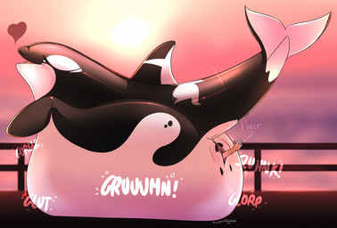 abdominal_bulge almost_fully_inside belly big_belly black_body blush bodily_fluids duo female feral feral_pred genital_fluids genitals glorp glut gurgle_(sound_effect) heart_symbol huge_belly human_prey hyper hyper_belly motion_lines onomatopoeia open_mouth outside resting_on_belly rumbling_stomach saliva sound_effects tail tail_motion text unbirthing unwilling_prey vaginal vaginal_fluids vore vulva white_body dolphinproject yamie aquatic cetacean dolphin human mammal oceanic_dolphin orca toothed_whale 2022 english_text