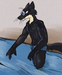 anthro athletic athletic_male black_body black_fur black_nose blue_eyes claws clenched_teeth clothing dripping_water dripping_wet eyewear fur glasses long_tail looking_forward male multicolored_body multicolored_fur outside partially_submerged river shore shoreline solo swimming_trunks swimwear swimwear_only tail teeth two_tone_body two_tone_fur water water_drop wet wet_body wet_fur whiskers white_body white_fur illegaleel jack_salem gulonine mammal marten mustelid musteline sable_(marten) 2023 hi_res