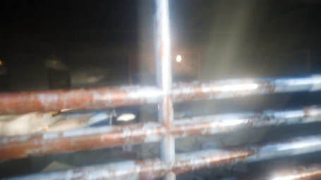abandoned_building animal_genitalia aroused assertive_female assertive_feral balls_deep bestiality big_penis birds_chirping bodily_fluids breasts breath breathing breathing_noises caught caught_in_the_act caught_masturbating caught_off_guard claws cloaca cloaca_juice cloaca_juice_drip cloacal cloacal_masturbation cloacal_penetration close-up consistent_pov cowgirl_position cum cum_in_cloaca cum_in_vagina cum_inside dark_environment deep_penetration deep_throat dripping drool_on_face drooling_on_partner drooling_on_viewer duo erection escape_attempt eyes_closed faceless faceless_character faceless_male fellatio female female_on_human female_orgasm feral feral_penetrated first_person_view flaccid flashlight fluids_on_viewer forked_tongue french_kissing from_front_position front_view genital_fluids genitals glistening glistening_body glowing glowing_eyes grabbing_partner hand_on_breast hand_on_horn hands_on_legs holding_head holding_partner horn human_on_feral human_pov humanoid_genitalia humanoid_penis impregnation inserting interspecies interspecies_impregnation irrumatio kissing kissing_pov large_penetration larger_female leaking_cum licking looking_at_genitalia looking_at_penis looking_at_viewer looking_down looking_pleasured lying lying_on_ground lying_on_partner male male/female masturbation missionary_position moan nude on_back on_bottom on_ground on_partner on_top oral oral_penetration orange_eyes orgasm panting penetration penile penis penis_in_mouth plap_(sound) pov_blowjob pushing_in rough_sex saliva saliva_drip saliva_on_penis scales scaly_tail sex simultaneous_orgasms size_difference smaller_human smaller_male sound_effects stroking_chest stroking_penis submissive submissive_human submissive_male tail tail_fetish tail_masturbation tail_motion tail_play tailwag teasing teasing_partner teeth teeth_showing teratophilia throat_swabbing through_window thrusting tongue tongue_out vaginal vaginal_fluids vaginal_fluids_on_penis vulva walk-in walking roughcitizen sound_warning hymcake_(modeler) opennsfwsp_(sfx) bethesda_game_studios fallout microsoft deathclaw human mammal reptile scalie 16:9 animated blender_(artwork) blender_cycles_(artwork) digital_media_(artwork) hi_res huge_filesize long_playtime sound video widescreen