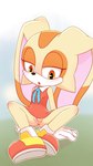 anthro anus blush female genitals open_mouth pussy solo_focus tan_body tan_skin young young_female dakuromii sega sonic_the_hedgehog_(series) cream_the_rabbit lagomorph leporid mammal rabbit 9:16 absurd_res hi_res