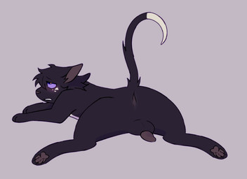 animal_genitalia animal_penis anus balls black_body black_fur blush butt dipstick_tail ejaculation feral fur genitals looking_up lying male male_feral markings on_front penis purple_sclera solo tail tail_markings white_tail_tip littleperrito warriors_(book_series) ravenpaw_(warriors) domestic_cat felid feline felis mammal 2026 full-length_portrait portrait