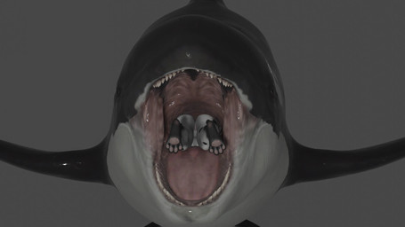 abdominal_bulge anthro anus curling_toes duo feet feral grey_background male male/male mouth_shot nude open_mouth oral_vore paws realistic_feral simple_background swallowing vore paradigmthedragon ninja739_(modeler) sunsetsarsaparilla_(modeler) aquatic canid canine canis cetacean dolphin domestic_dog mammal oceanic_dolphin orca toothed_whale 16:9 3d_(artwork) 3d_animation animated digital_media_(artwork) hi_res no_sound short_playtime video widescreen