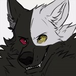 anthro black_body black_fur fur heterochromia hypnosis hypnotic_eyes hypnotizing_viewer looking_at_viewer male mind_control simple_background solo teeth white_body white_fur mimigshep azki_(azki_wolf) canid canine canis mammal wolf 1:1 animated short_playtime