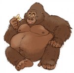 anthro banana belly big_belly blep brown_body brown_fur food fruit fur hand_on_knee hand_on_leg holding_food holding_object male moobs navel nipples nude obese obese_anthro obese_male overweight overweight_anthro overweight_male plant simple_background sitting smile solo tongue tongue_out white_background berlin ape gorilla haplorhine mammal primate hi_res