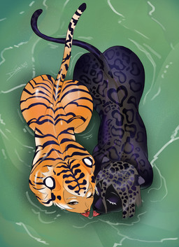 anthro big_butt black_body black_fur black_nose black_spots black_stripes bodily_fluids brown_nose butt duo eyelashes female fur green_eyes grey_hair hair high-angle_view looking_at_viewer nude one_eye_closed orange_body orange_eyes orange_fur orange_hair partially_submerged pussy_tongue saliva saliva_string spots stripes tail tongue tongue_out wide_hips drakinn_art felid jaguar mammal pantherine tiger absurd_res hi_res