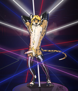 anthro armpit_hair armwear balls bodily_fluids body_hair braided_hair clothing erection exhibitionism foreskin genitals hair humanoid_genitalia humanoid_penis latex latex_armwear latex_clothing latex_legwear legwear male musk nightclub penis pole raised_arms solo stripper stripper_pole sweat sweaty_armpit mrramone cheetah felid feline mammal hi_res